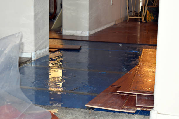 Professional Sewage Cleanup technician working in Farley, MO